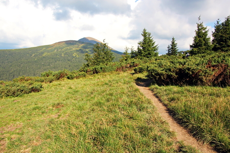 Landscape view of the Carpathian Mountains, Ukraine.の写真素材