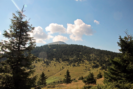 Landscape view of the Carpathian Mountains, Ukraine.の写真素材