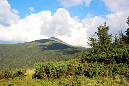 Landscape view of the Carpathian Mountains, Ukraine.の写真素材