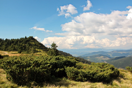 Landscape view of the Carpathian Mountains, Ukraine.の写真素材