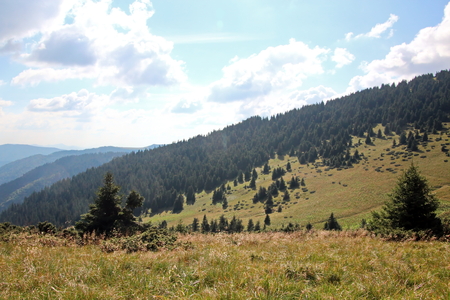 Landscape view of the Carpathian Mountains, Ukraine.の写真素材