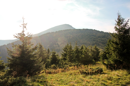 Landscape view of the Carpathian Mountains, Ukraine.の写真素材