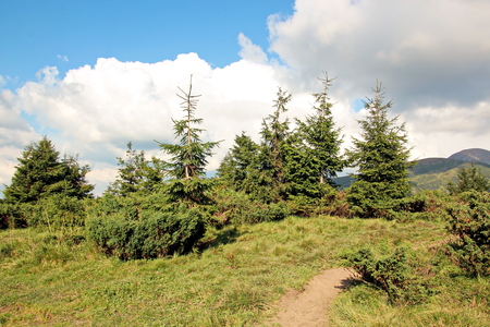 Landscape view of the Carpathian Mountains, Ukraine.の写真素材