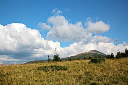 Landscape view of the Carpathian Mountains, Ukraine.の写真素材
