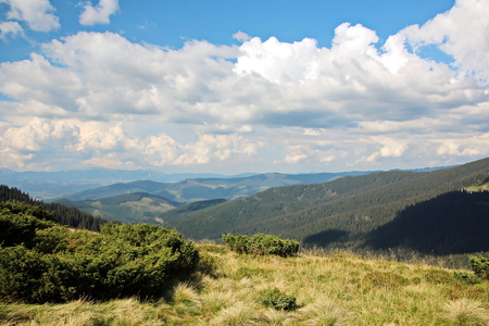 Landscape view of the Carpathian Mountains, Ukraine.の写真素材