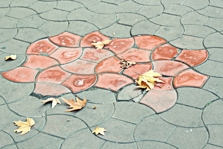 Autumn leaves on the ground as a background.の写真素材