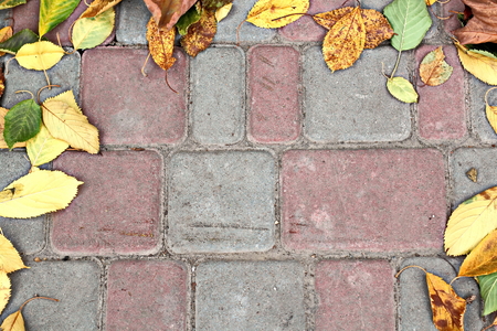 Autumn leaves on the ground as a background.の写真素材