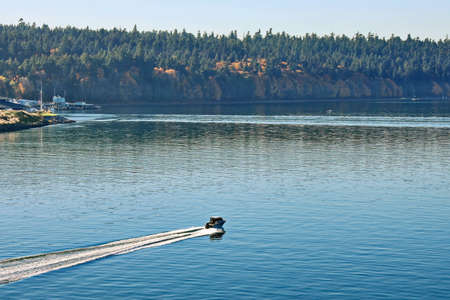 Seagoing vessels, tugboats, pleasure boats and yachts on the roads of the port of Tacoma, USA....