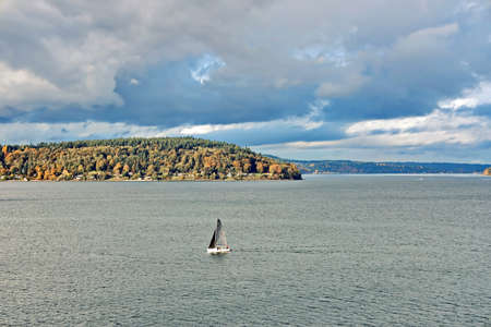 Seagoing vessels, tugboats, pleasure boats and yachts on the roads of the port of Tacoma, USA....