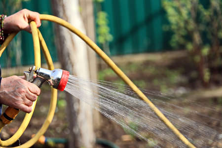 Care of plants and fruit trees in the home garden during quarantine - watering flowers and bushes.の写真素材