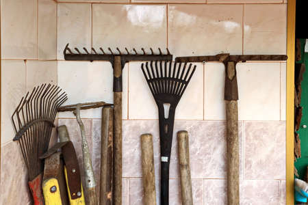 Care of plants and fruit trees in the home garden during quarantine - gardening tools.の写真素材