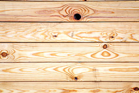 Wooden planks and sectional tree structure used as a base and backgrounds.の写真素材