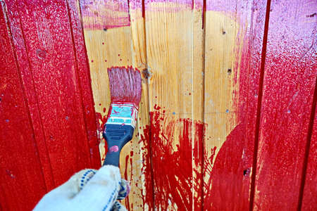 Painted wooden planks and cutaway wood structure used as a base and backgrounds.