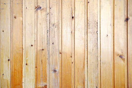 Painted wooden planks and cutaway wood structure used as a base and backgrounds.