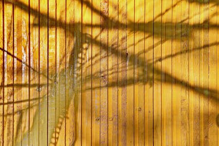 Painted wooden planks and cutaway wood structure used as a base and backgrounds.の写真素材