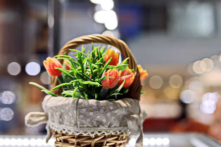 Blooming colorful tulips in the spring garden. Odessa, Ukraine.の写真素材