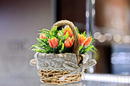 Blooming colorful tulips in the spring garden. Odessa, Ukraine.の写真素材