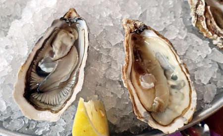A close-up view of various dishes from meat, fish, fried vegetables and seafood prepared for lunch.の写真素材