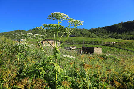 Landscape views of the Caucasus Mountains, river and villages. Peak and river Enguri. Georgia. Summer. 2019の写真素材