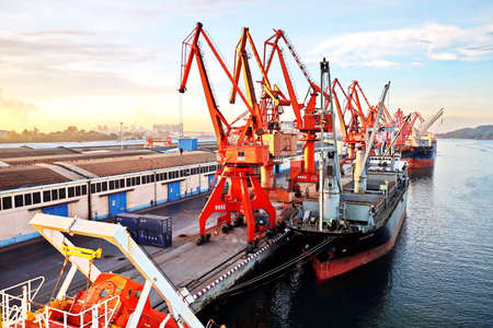 Fangcheng, China, September 30,2020. Cargo terminal for unloading bulk cargoes by shore cranes and grabs.のeditorial素材