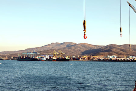 Container vessels, bulk carrier and tugboats at the port under cargo operations and underway. Port of Vostochnyy. Russia, December, 2020の写真素材