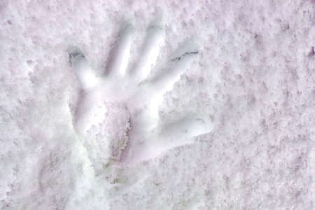 First snow. Footprints of a dog, a man and a man's palm on the snow as a basis and background. Close-up.の写真素材