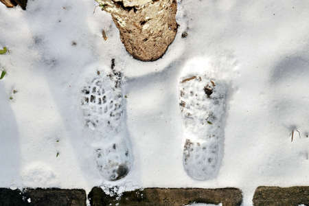 First snow. Footprints of a dog, a man and a man's palm on the snow as a basis and background. Close-up.の写真素材