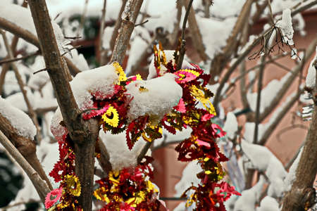 Christmas tree decorations and toys for fir trees covered with snow and ice. Close-up. Happy New Year and Merry Christmas.の写真素材