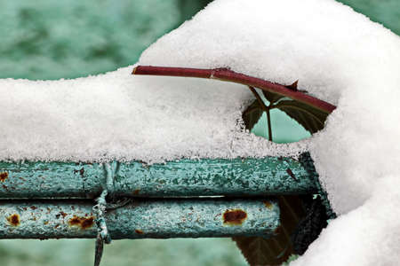The metal bars of the fence are painted blue and white, covered with snow and ice. Close-up.の写真素材