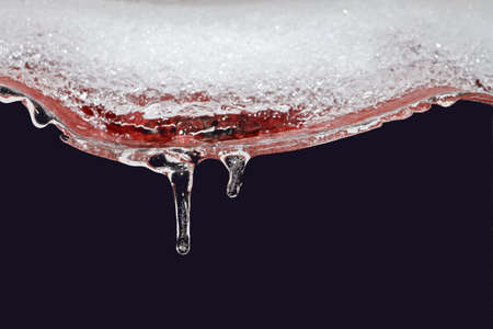 Branches of a tree with leaves, berries and buds covered with ice and icicles in the form of...