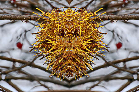 Christmas tree decorations and toys for fir trees covered with snow and ice. Close-up. Happy New...