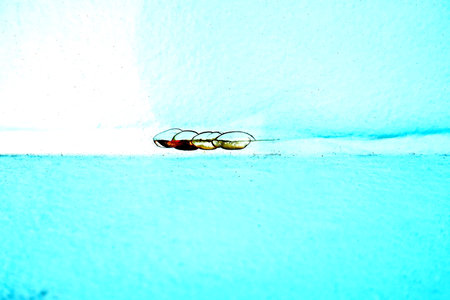 glasses on the ice in the snow, closeup of photo