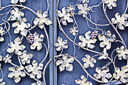 detail of a wrought iron gate, detail of a wrought iron gateの写真素材