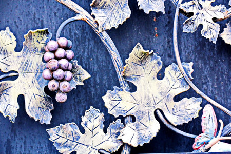Grapes on a metal fence in autumn. Toned.