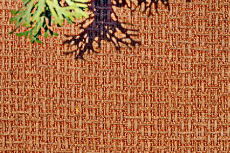 Tree shadow on a textile background. selective focus. nature.の写真素材