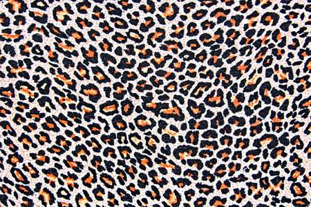 texture of print fabric striped leopard for background. close upの写真素材