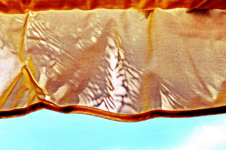 Watercolor painting of a branch of orchids on a white backgroundの写真素材