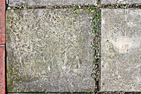 Old stone pavement with green grass. Abstract background and texture for design.の写真素材