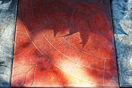 Shadow of a man walking on the red tile floor in the parkの写真素材
