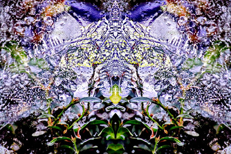 Abstract background of water drops on a glass with a pattern of butterfliesの写真素材