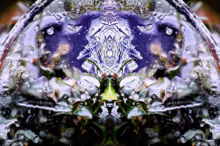 abstract fractal background a computer-generated 2D illustration, textureの写真素材