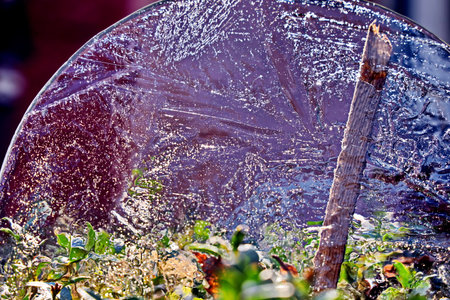 Close up of a broken glass in a garden on a sunny dayの写真素材