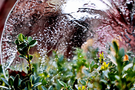 Water drops on the window. Raindrops on the glass. Water drops on the window.の写真素材