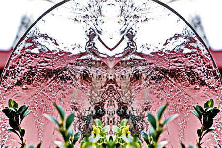 Reflection in a glass window of a house with flowers and plantsの写真素材