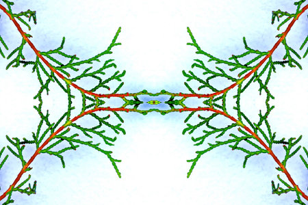 The branches of a Christmas tree in the snow. Illustration.の写真素材
