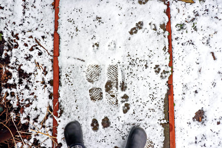 Footprints in the snow. Footprints in the snow. Footprints in the snow.の写真素材