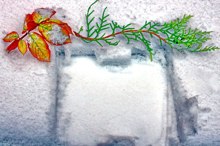 Snowy winter background with frozen leaves and copy space for text.の写真素材