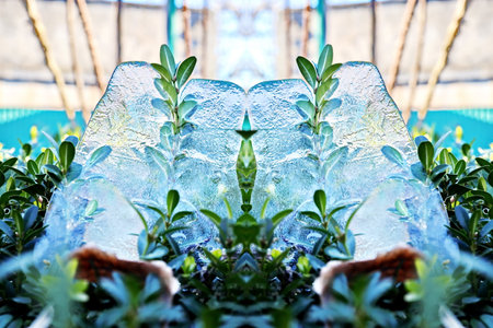 Plants frozen in ice, closeup of photo with shallow depth of fieldの写真素材