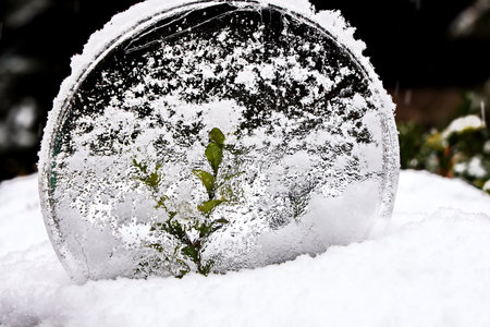 Plant in a glass jar covered with snow. winter background.の写真素材