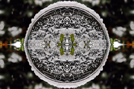 Frosty natural symbol on a snow-covered euro coin.の写真素材